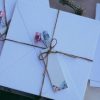 0001774_cloris
