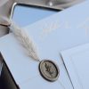 0001871_swan