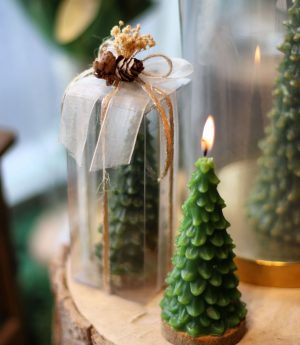 Борова Елхова Свещ