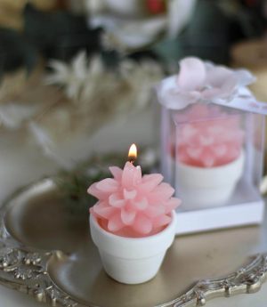 Свещ „Сукулент“ в V саксия