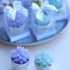 0000618_v-saksi-sukulent-mum