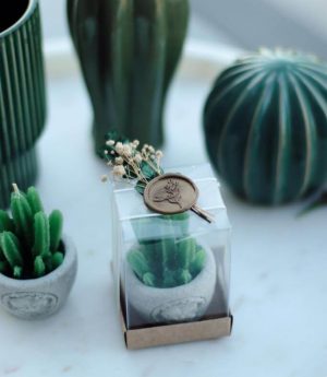 Детайлна Кактусова Свещ с Восъчен Печат