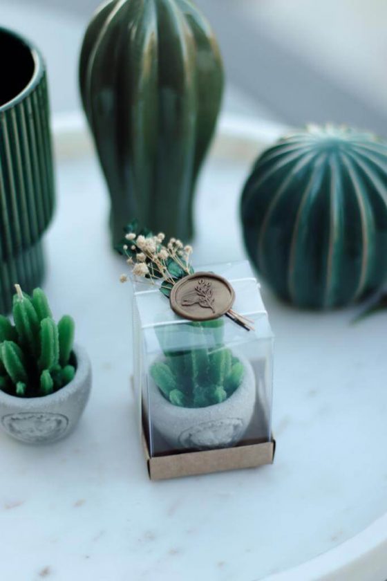 0002264_muhur-detayli-kaktus-mum