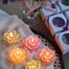0001647_hint-lotusu