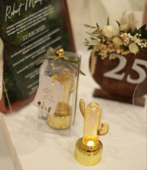 Подаръчен ЛЕД Кактус