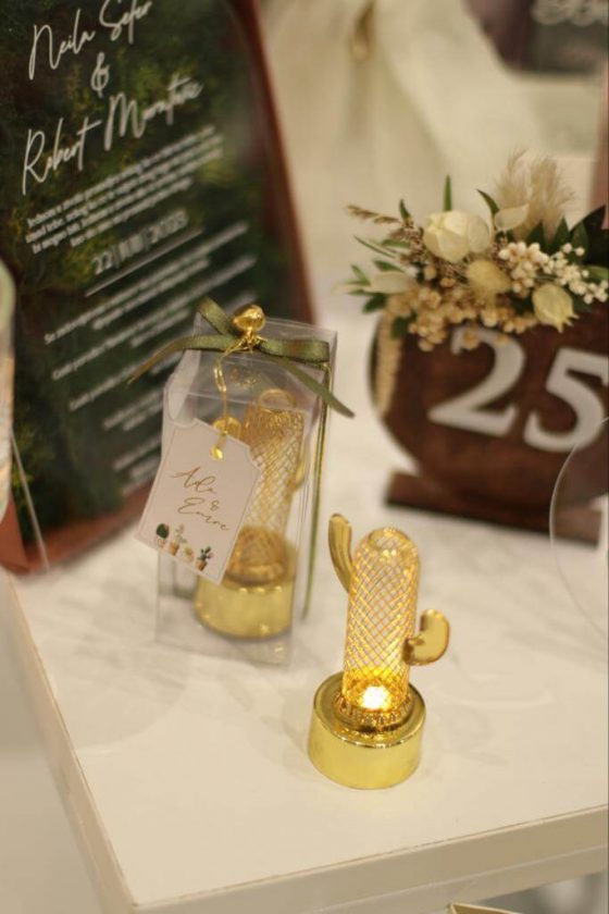 0002676_kaktus-led-hediyelik