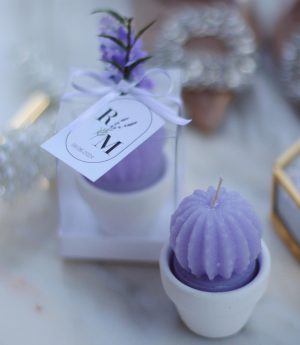 Свещ Сукулент в V Саксия