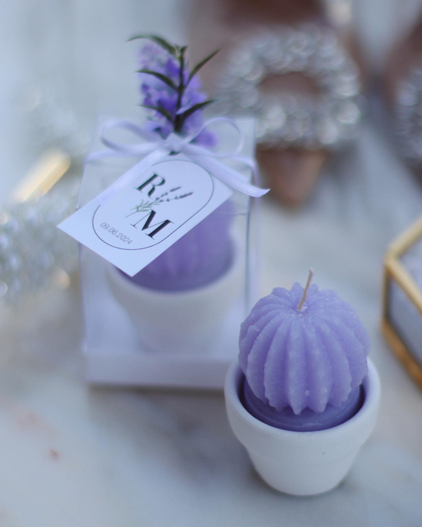 0003411_v-saksili-sukulent-mum