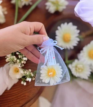 Маргариткова Свещ в Тюлена Торбичка