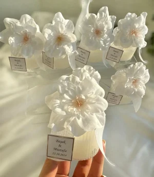 Свещ в Бурканче