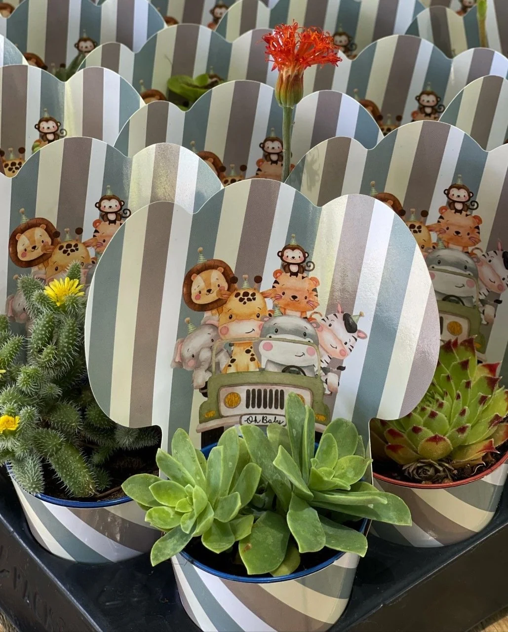 d164fbc0-5a63-4237-8990-ed80874b58c7