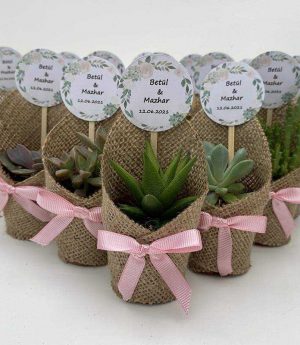 Сукулент с натурална юта и декоративна розова панделка
