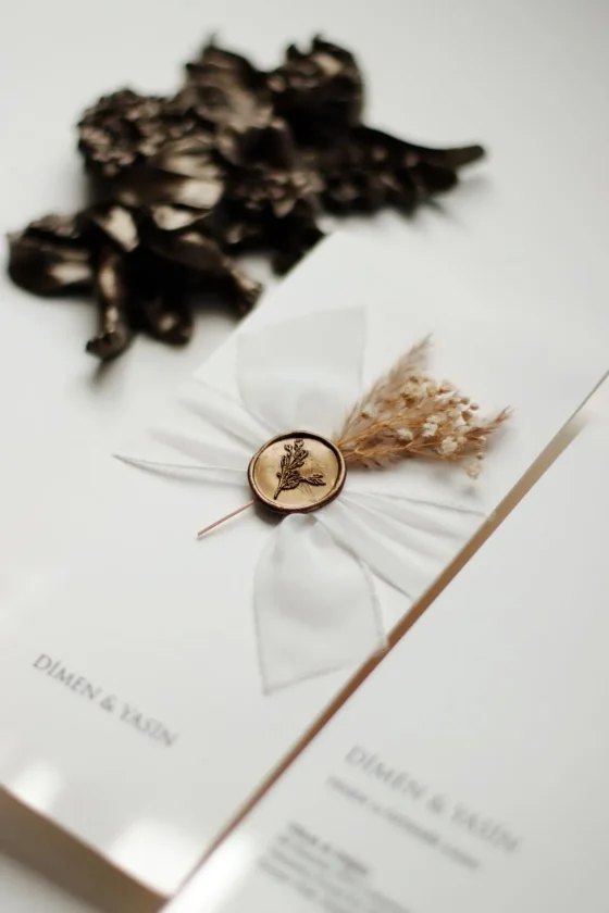 0004244_baski-ventus_62_11zon