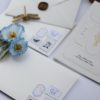 0004830_butterfly-davetiye