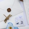 0004831_butterfly-davetiye