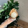 mum – ü