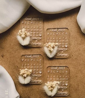 Прозрачен Магнит