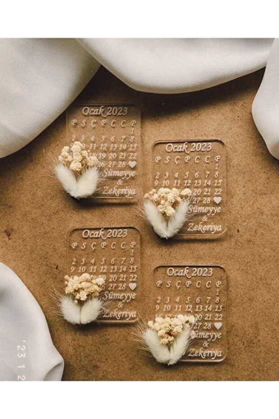 şeffaf – magnet- c