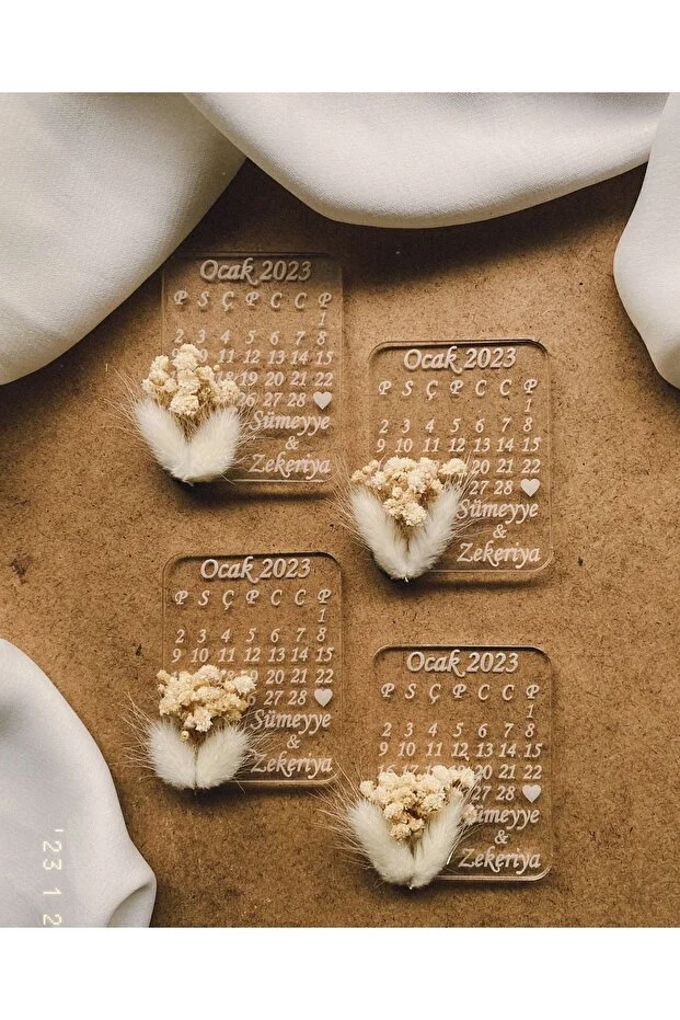 şeffaf – magnet- c