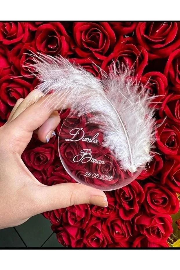 şeffaf – magnet – n – 31