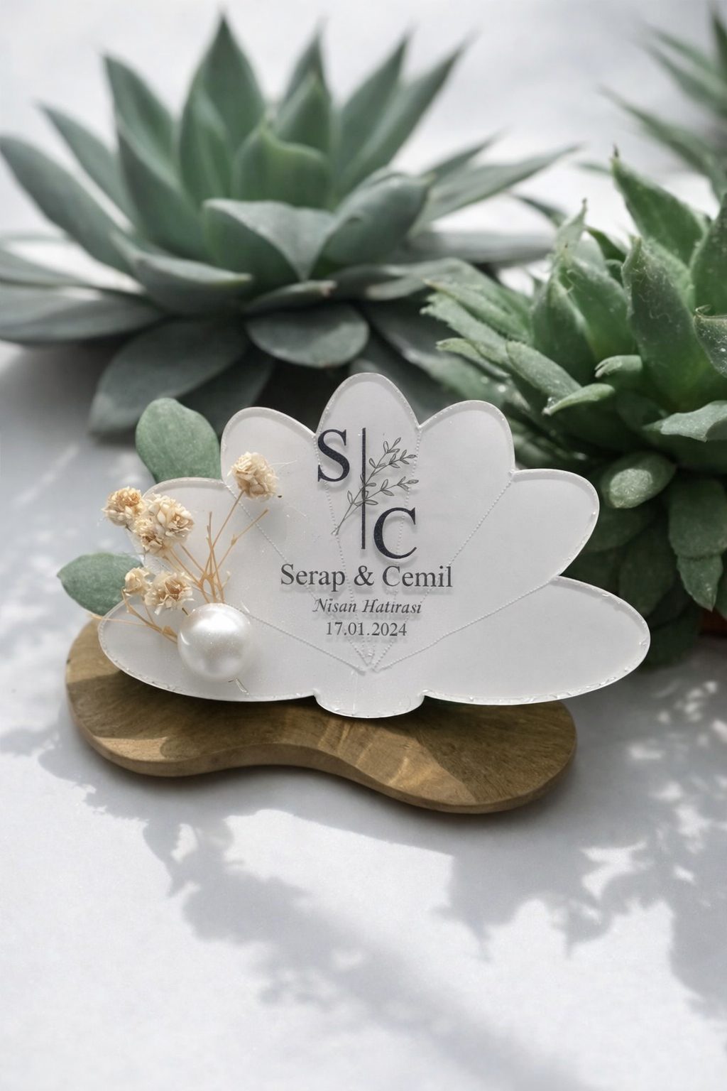 şeffaf – magnet – n – 4