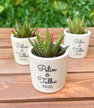 Сукулентен Микс