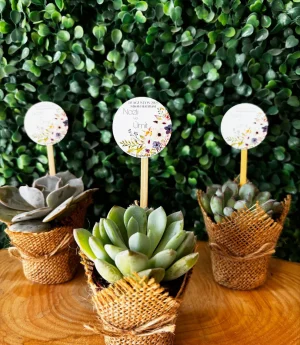 Сукулентен Микс